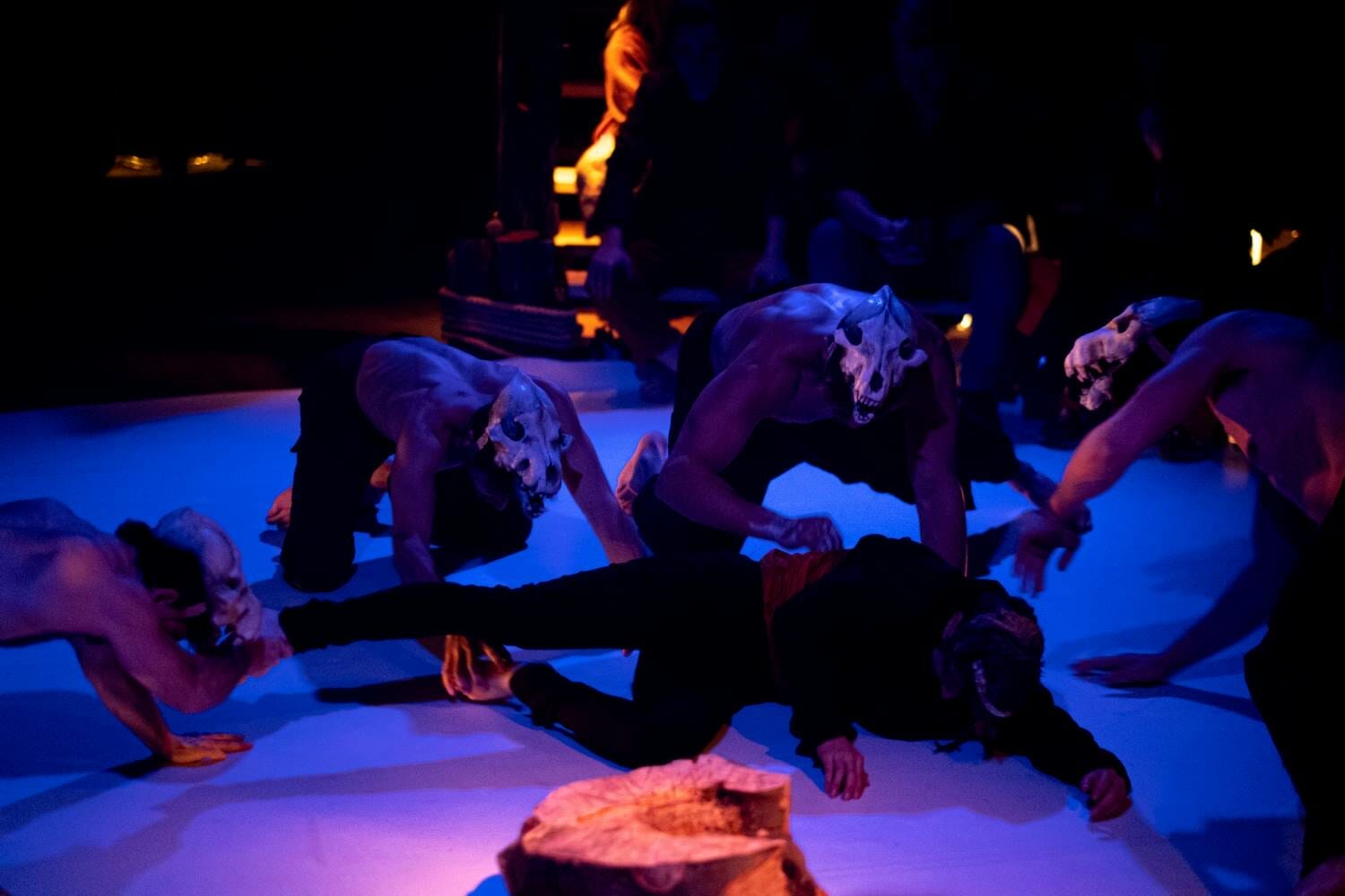 chloe devoree par les loups chloe devoree par les loups